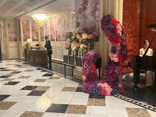 WhatsApp Image 2026-01-28 at 11.13.03 AM (2)